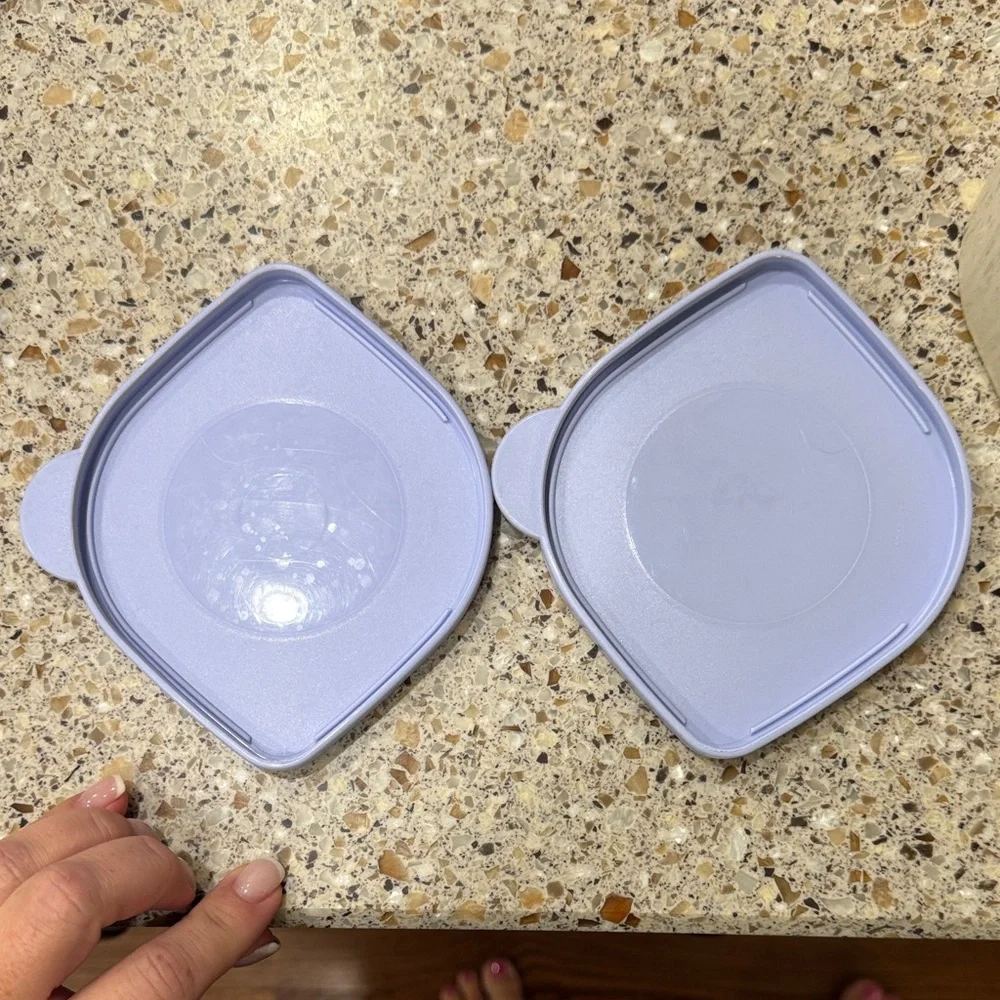 Tupperware Containers with Purple Lids